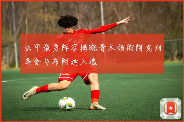 法甲最贵阵容揭晓青木领衔阿克利乌舍与布阿迪入选